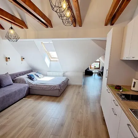 Viki ホームステイ クリニツァ・モルスカ