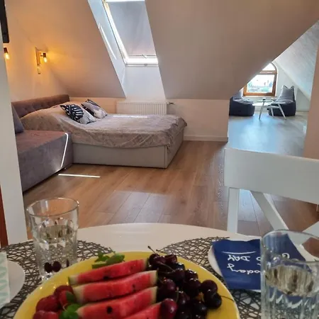 Viki * Крыница-Морска