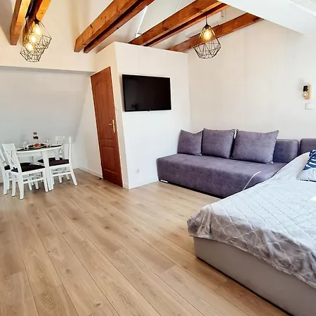 Viki Проживание в семье